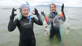 Plastic bottles ‘dumped on 83% of Irish shorelines’