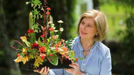 World Flower Show comes to Dublin