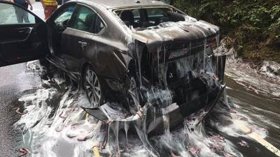 Eels on wheels: Truck carrying slimy fish overturns on highway