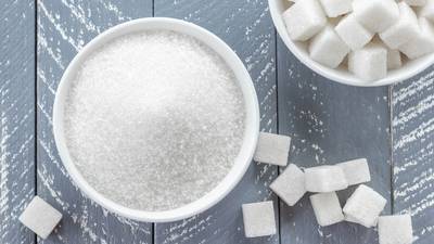 Sugar producer Südzucker reports positive first quarter