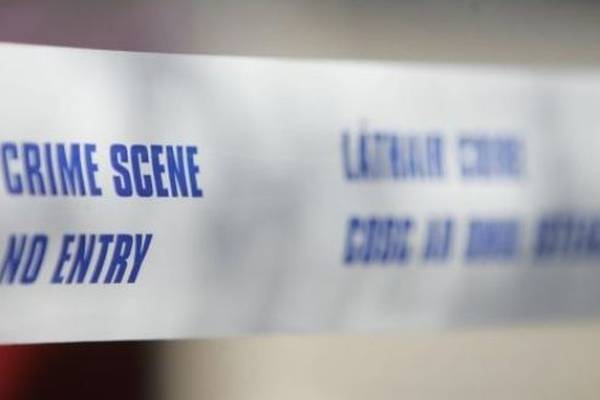 Detectives arrest two men after €800,000 drugs seizure in Cork