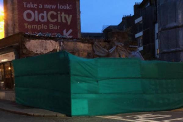 Netting covering Somebody’s Child mural was installed on purpose, says Flynn