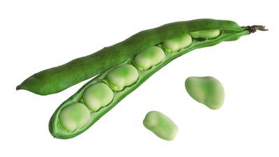 What peas and broad beans tell us about the reality of Ireland’s seasons
