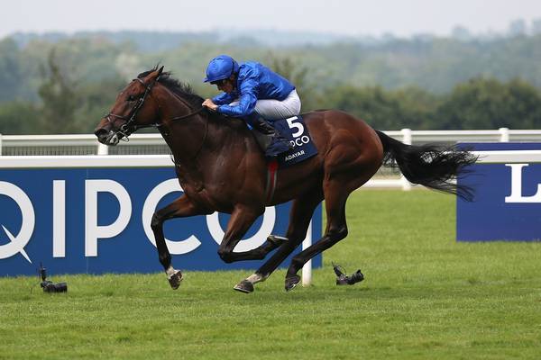 Adayar could make quick return to track in Qipco Champion Stakes
