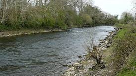 Major fish kill investigated on north Galway river
