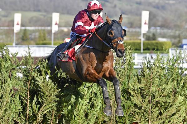 Tiger Roll to run at Aintree instead of Irish Grand National