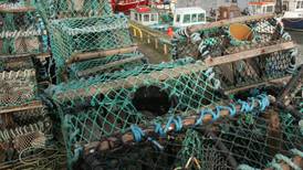 Clarification on fish catch records may affect 60 prosecutions