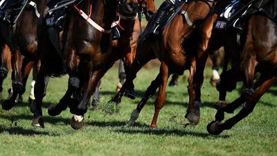 Ireland’s racecourses getting ready for when ‘white flag is raised’ on spectators