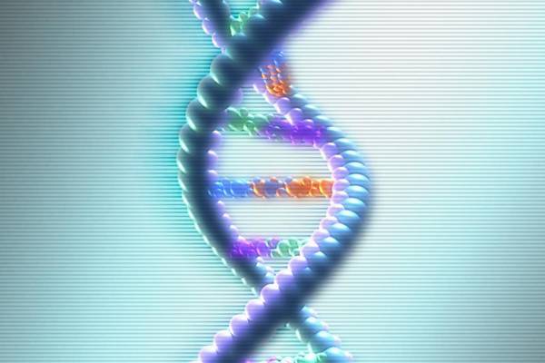 DNA databases: biology stripped bare