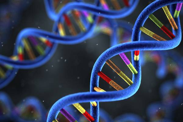 DNA collection firm focus of data protection inquiry