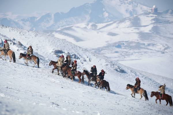 Harsh Mongolian winter kills 700,000 head of livestock