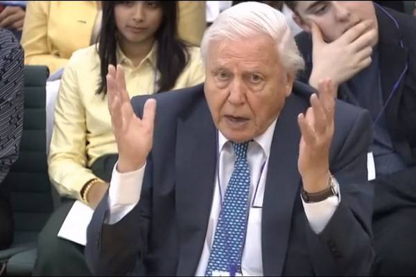 David Attenborough warns climate change may bring social unrest
