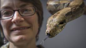 Irish scientist recreates   fossil in full colour for the first time