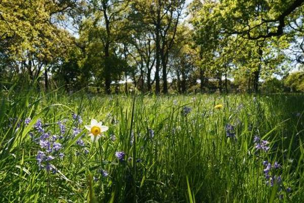 Failure to convene citizens’ assembly on biodiversity criticised