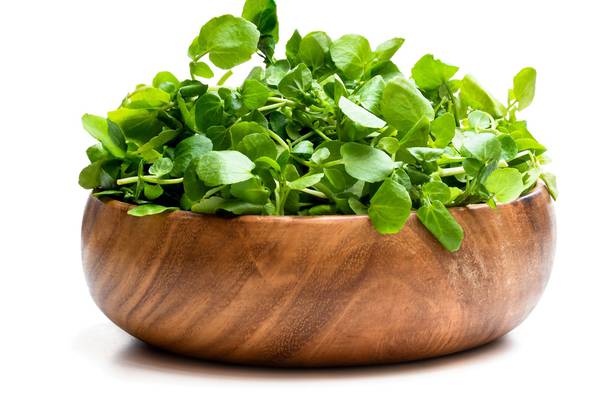 Watercress: an ancient Irish herb that goes perfectly with fish