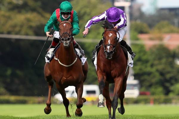 St Mark’s Basilica wins Champion Stakes after controversial finish