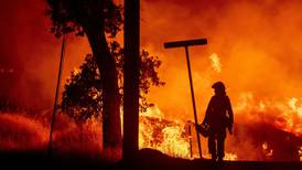 What is California doing to prevent the next major wildfire?