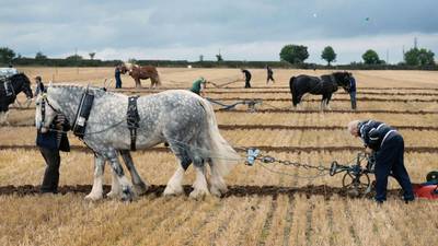 Beef prices, farm safety top Ploughing Championships agenda