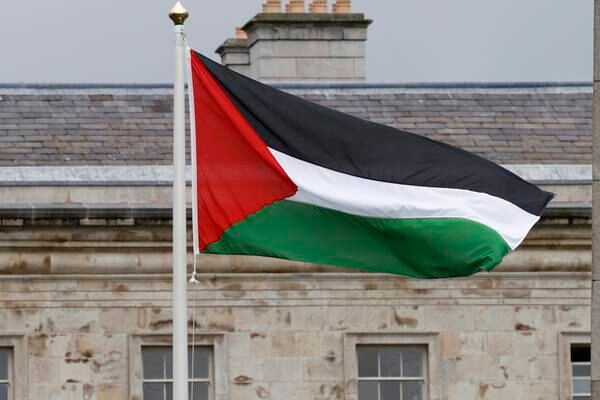 Man charged over trespass at Leinster House in bid to remove Palestinian flag