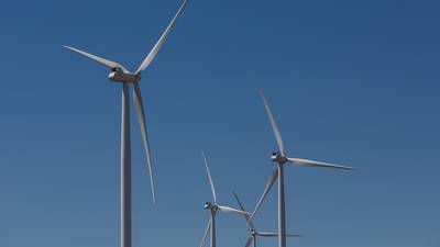 Government renewable energy policy is adding to green electricity costs, says wind lobby 