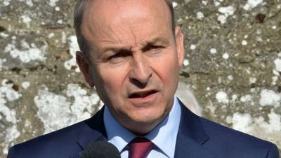 Micheál Martin: Party volunteers should not have posed as pollsters