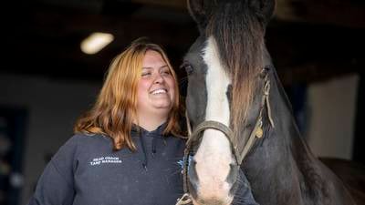 ‘It’s more than the horses now’: North Co Dublin equine therapy centre searching for a new home