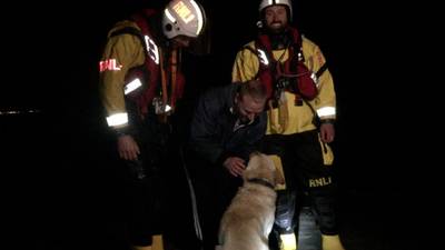 Gutsy labrador rescued by Howth lifeboat crew