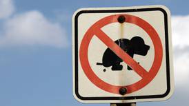 Can I deter dog fouling outside my house?