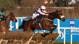 No decision made for Katie T and Cheltenham OLBG Hurdle