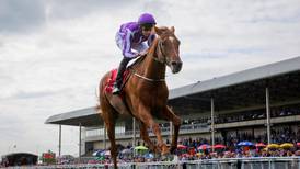 Plans afoot to ensure the 150th  Irish Derby will be one to remember
