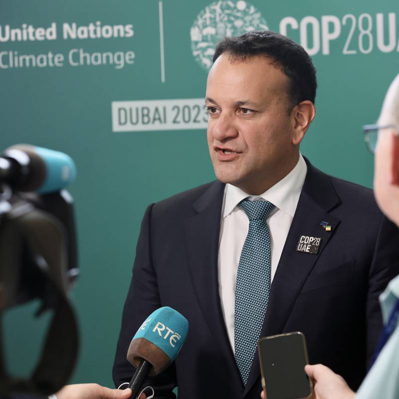 Delivering on promised targets is best way to tackle climate crisis, says Varadkar