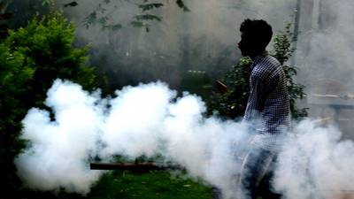 Climate change could increase spread of dengue fever