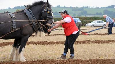 Ploughing Championships are truly in a field of their own