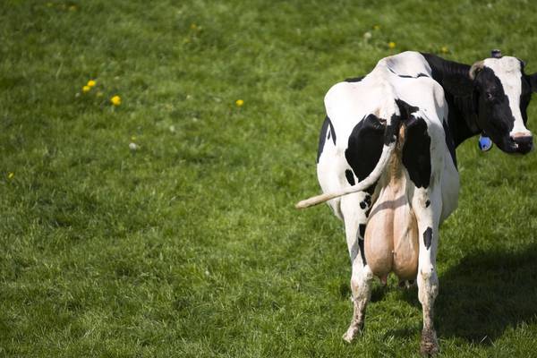 Ireland is world’s ‘most carbon-efficient milk producer’ – Minister