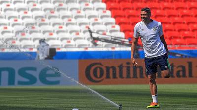 Jon Walters, Stephen Ward may be fit to face France