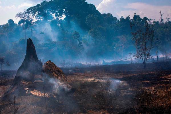 South American nations to discuss Amazon fires, says Bolsonaro