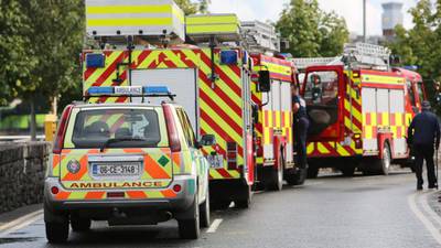 Two men die while working on bridge in Limerick city