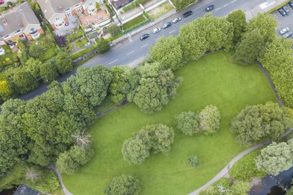 Use Dublin’s green spaces to build homes, says city chief