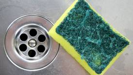 Health tip of the day: Nuke your dish sponge