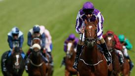 Australia hot favourite for Irish Derby