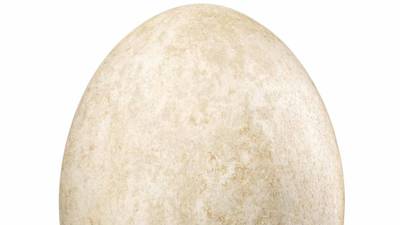 A ‘real’ egg for Easter – €148,000