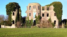 ‘Ireland is the country for ruins’: Why I seek out our abandoned homes