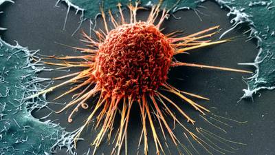 Experts hail a ‘new era’ for cancer treatments