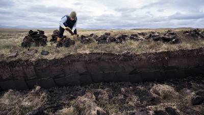 Farmers to seek assurances on effect of rewetting bogs on lands