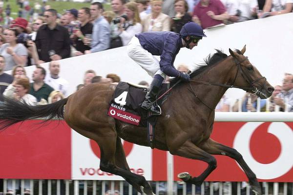 Coolmore announce death of world-leading stallion Galileo at 23