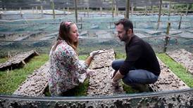 Meet Ireland’s new farmers: ‘People laughed at us when we started growing snails’