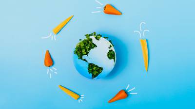 Is going vegan enough to tangibly shrink our individual carbon footprint?