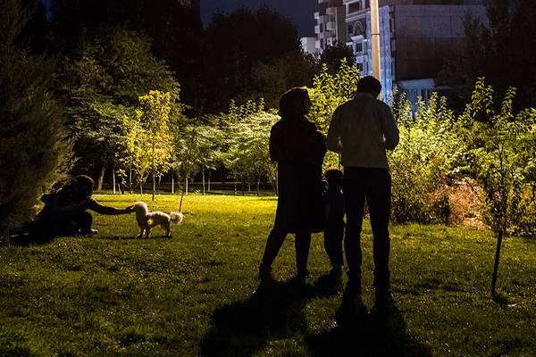 More bark than bite in Iran’s ban on walking dogs