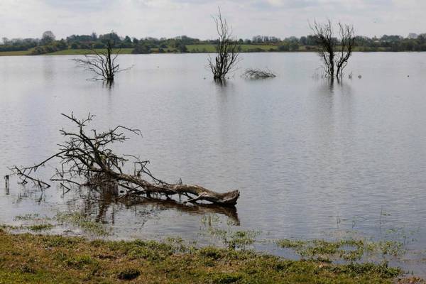 Environment group rejects criticism over stance on Roscommon flooding