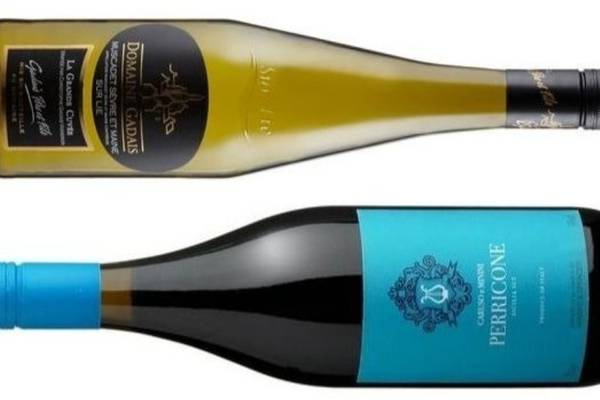 Two great new supermarket wines to try